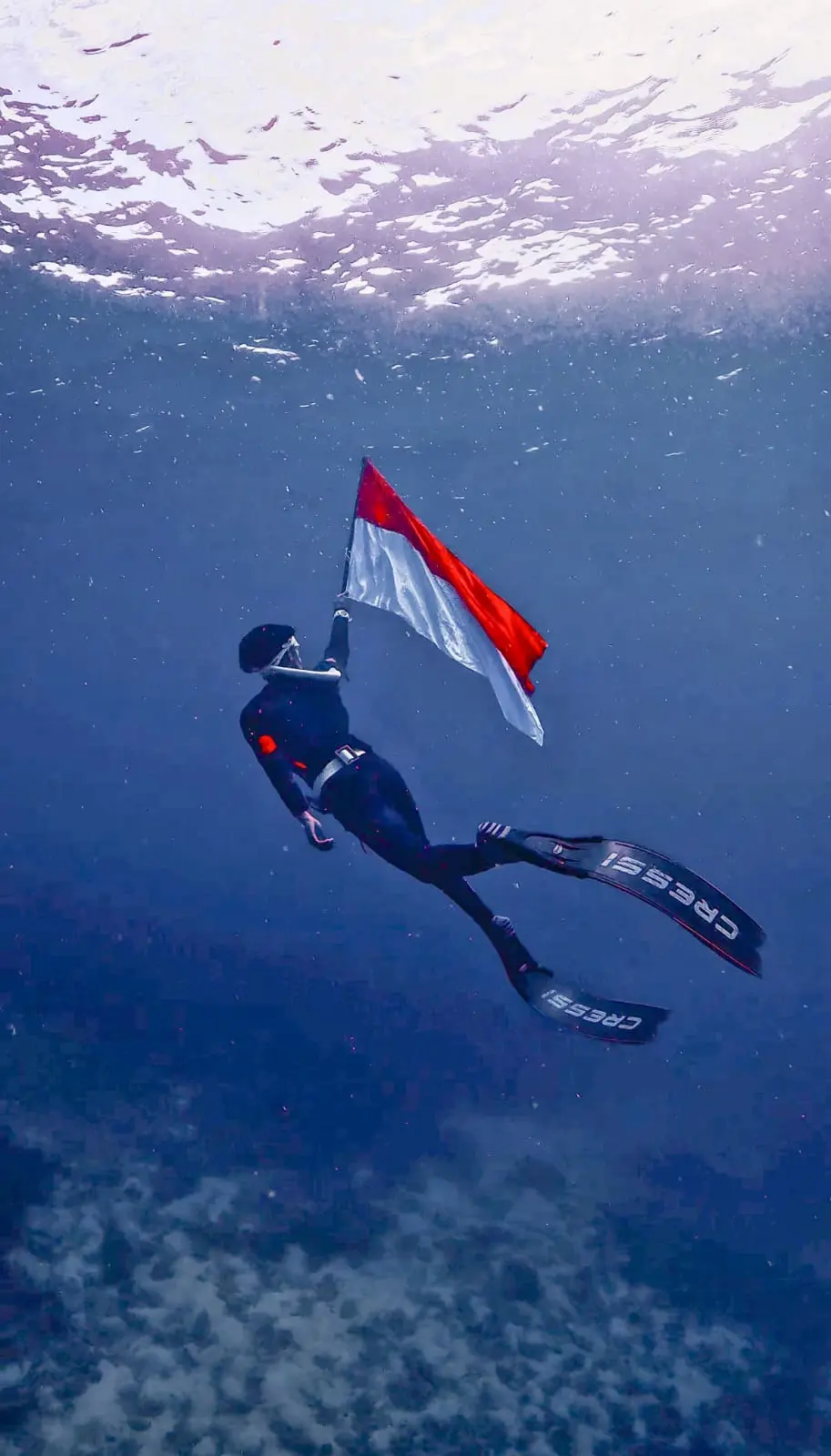 Taman Nemo